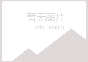 嵩明县夏日咨询有限公司